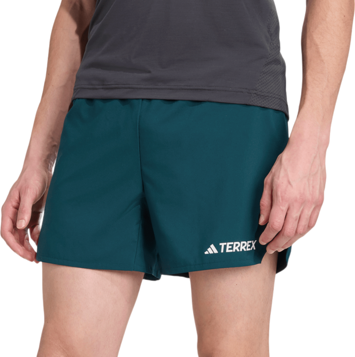 Kratke hlače adidas Terrex Xperior 5inch