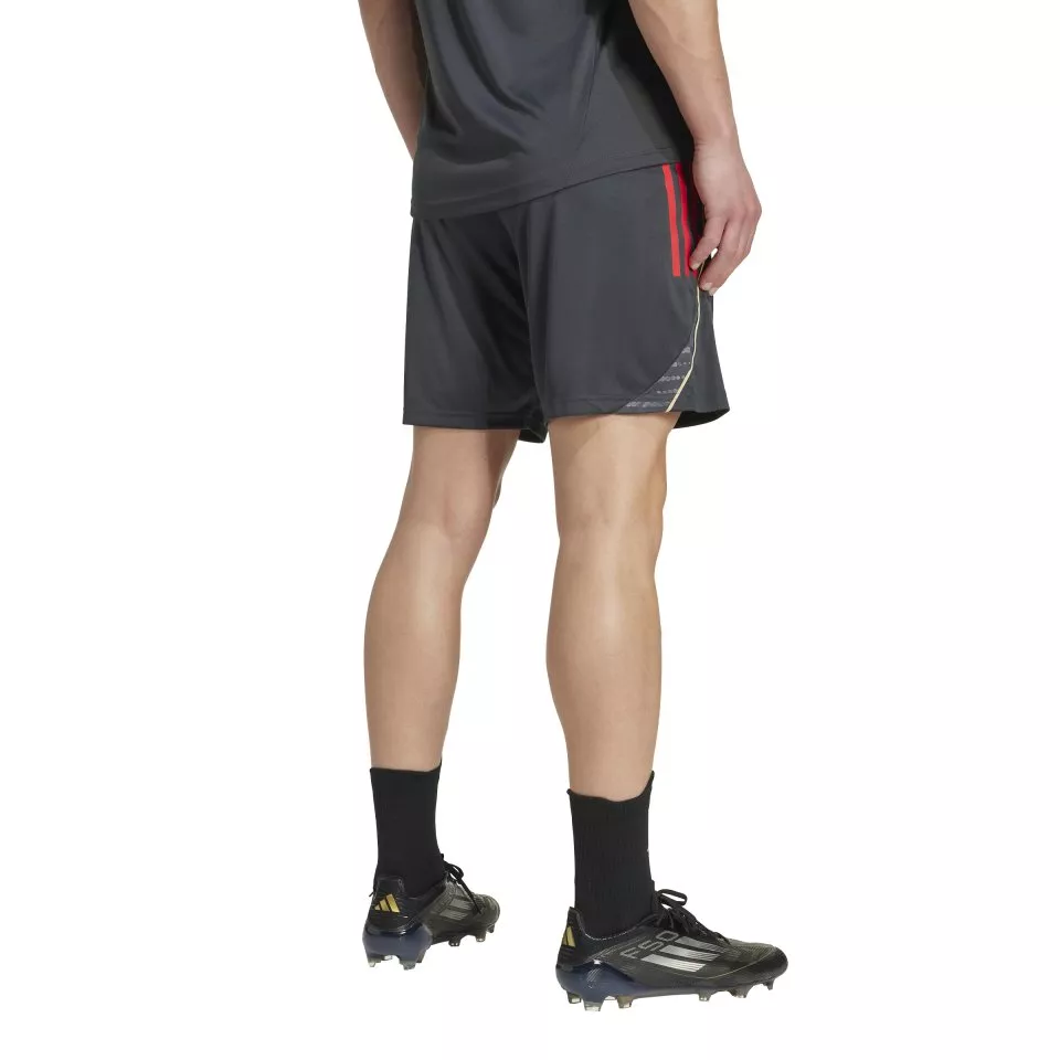 adidas OL TR SHO 2025/26 Rövidnadrág