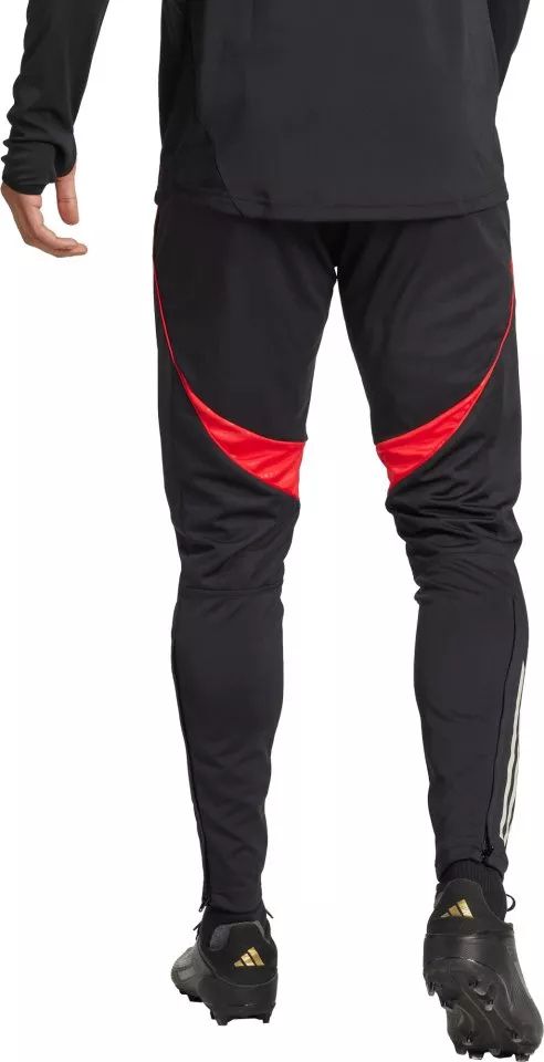 Hlače adidas SLB TR PNT 2025/26