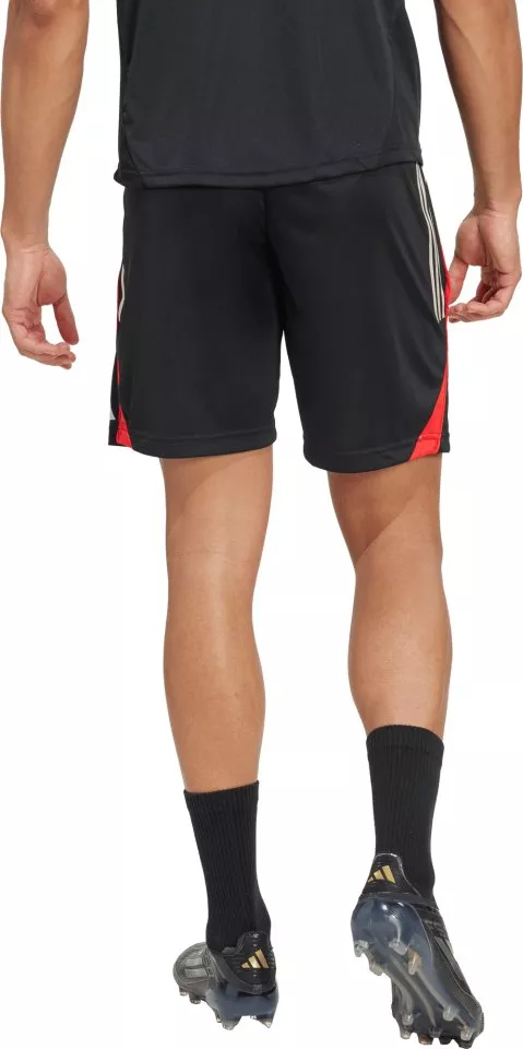 Шорти adidas SLB TR SHO 2025/26