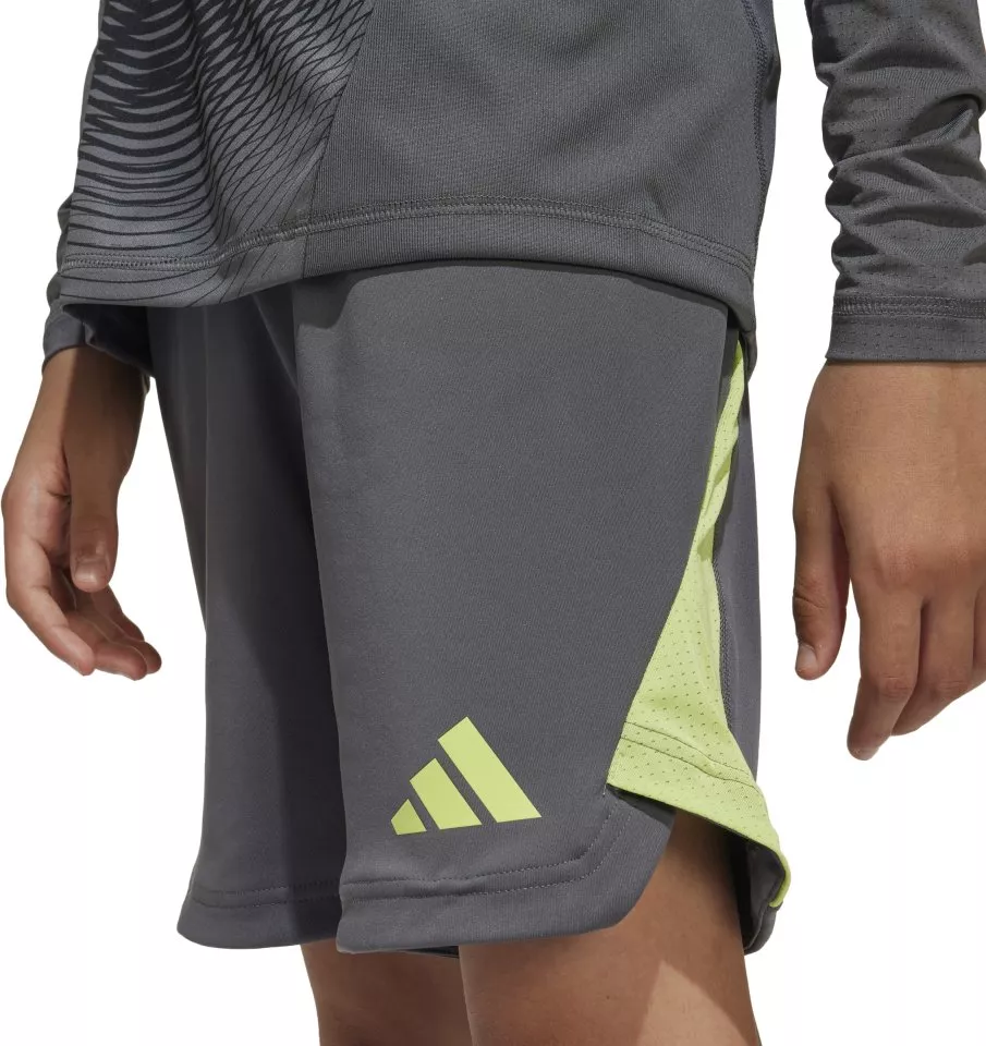 Pantalón corto adidas Tiro 25 Pro Goalkeeper Shorts Kids