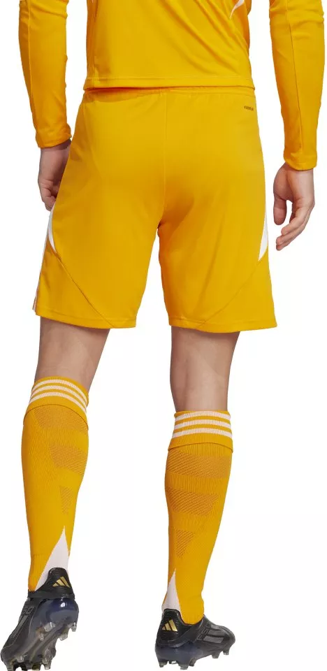Шорти adidas TIRO24 SHO