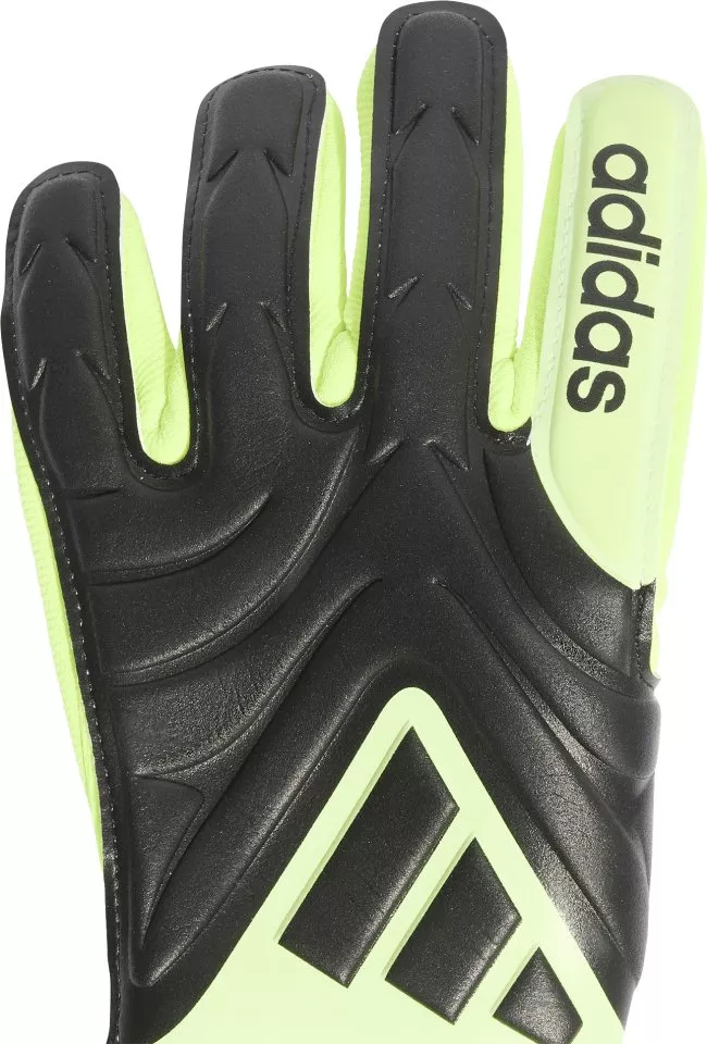 Γάντια τερματοφύλακα adidas COPA GL LGE J