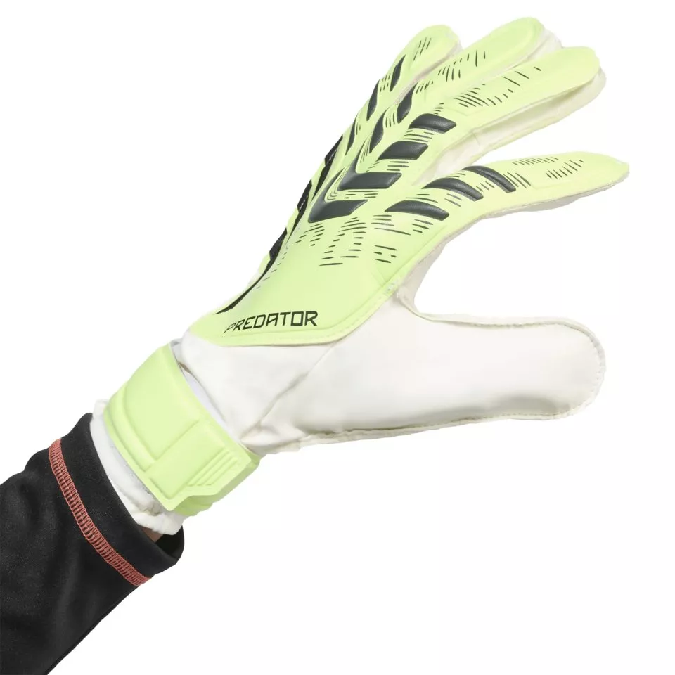 Luvas de Guarda-Redes adidas PRED GL TRN