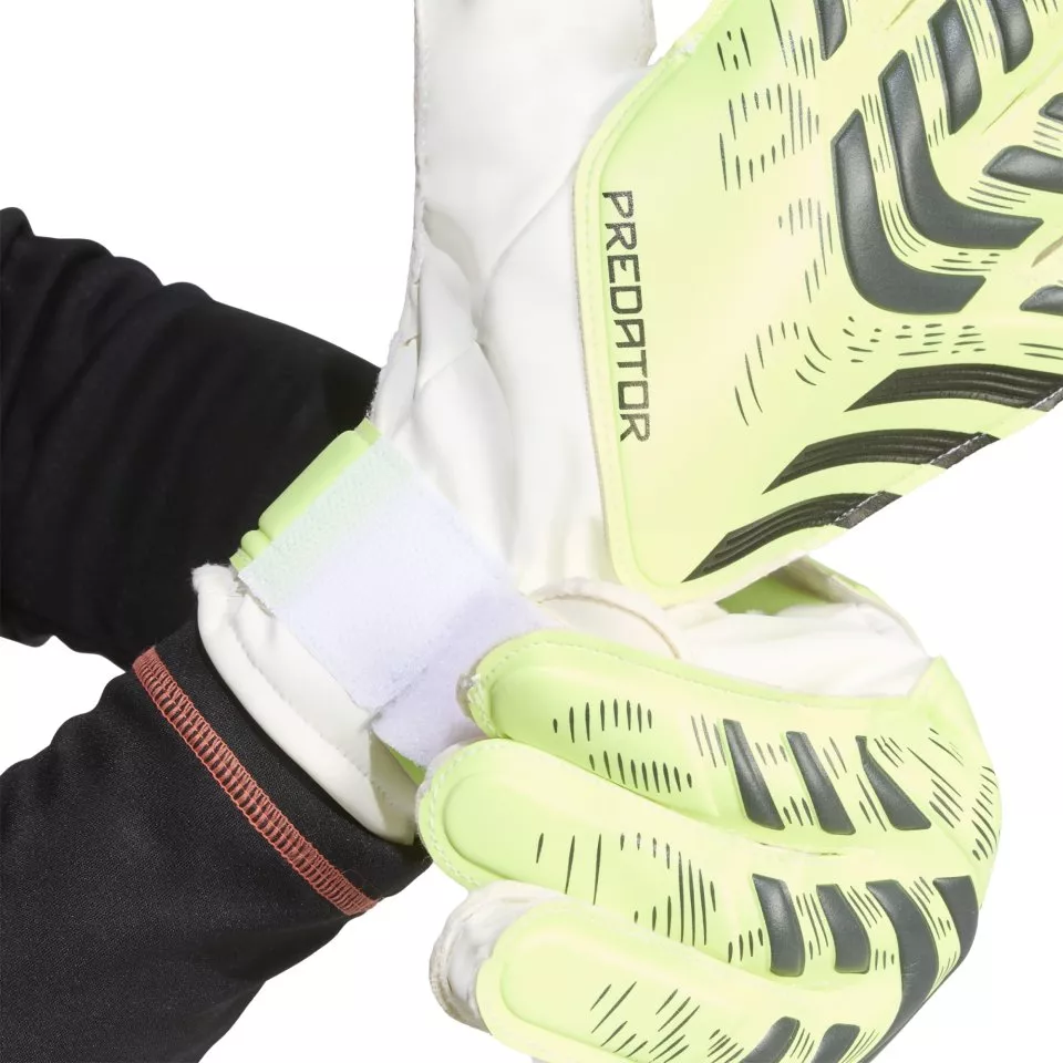 Luvas de Guarda-Redes adidas PRED GL TRN