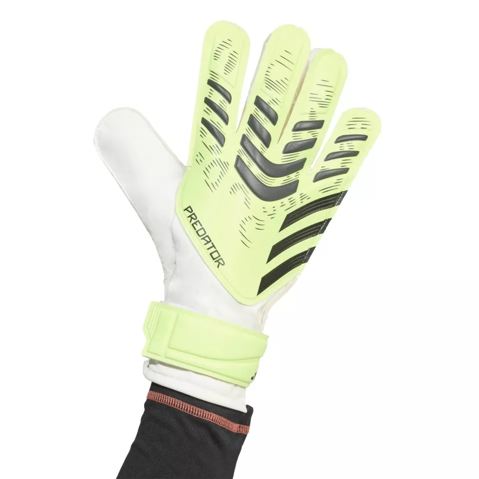Luvas de Guarda-Redes adidas PRED GL TRN