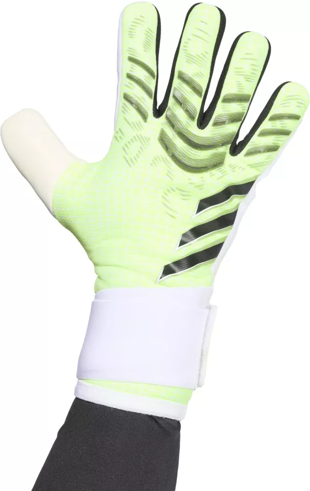 Luvas de Guarda-Redes adidas Predator Competition Goalkeeper Gloves