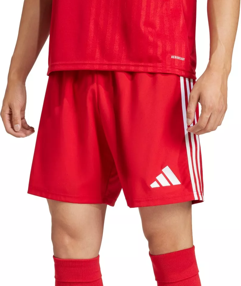 adidas TASTIGO25 SHO M Rövidnadrág