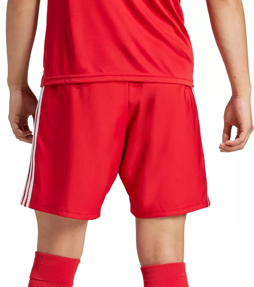 adidas TASTIGO25 SHO M Rövidnadrág