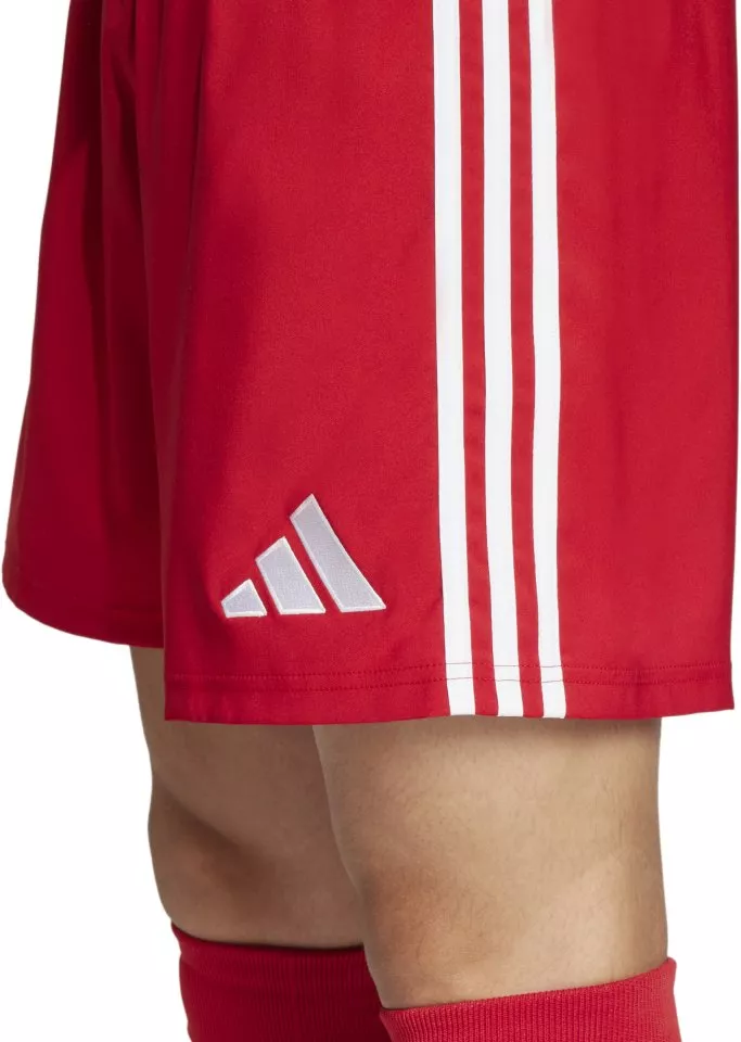 adidas TASTIGO25 SHO M Rövidnadrág
