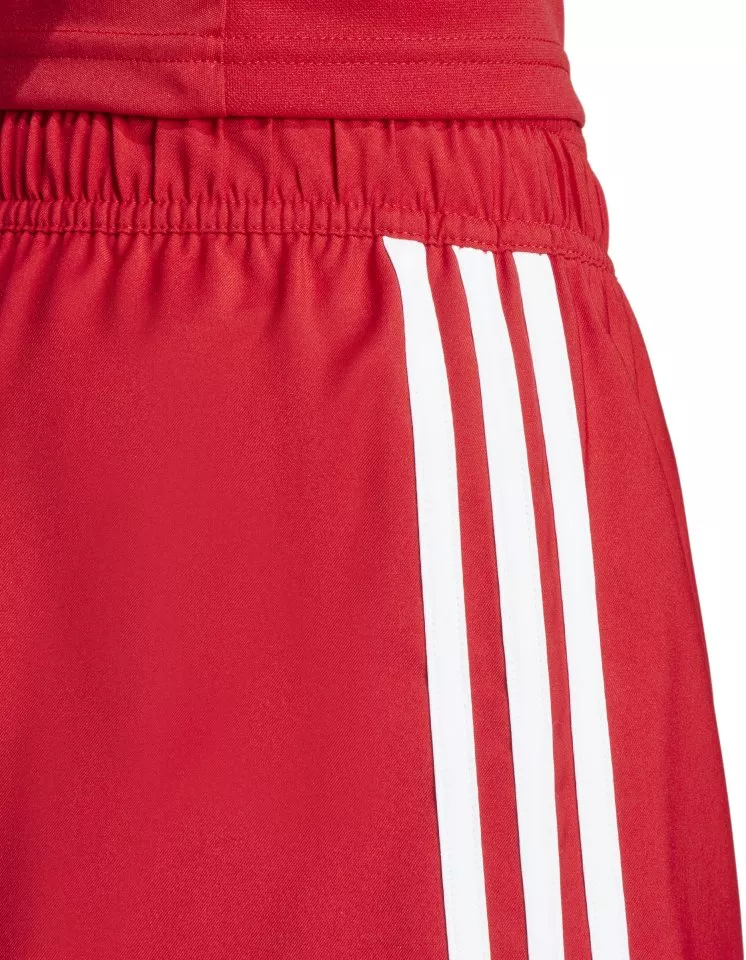 adidas TASTIGO25 SHO M Rövidnadrág