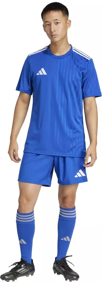 Šortky adidas TASTIGO25 SHO M
