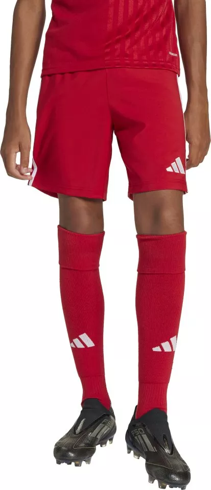 Pantalón corto adidas TASTIGO25 SHO Y