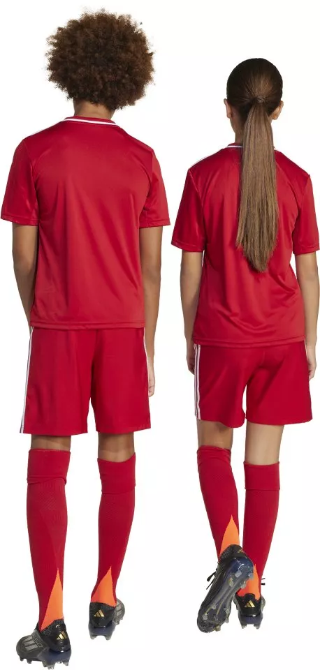 Pantalón corto adidas TASTIGO25 SHO Y