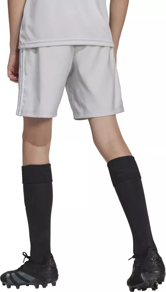 Shorts adidas TASTIGO25 SHO Y