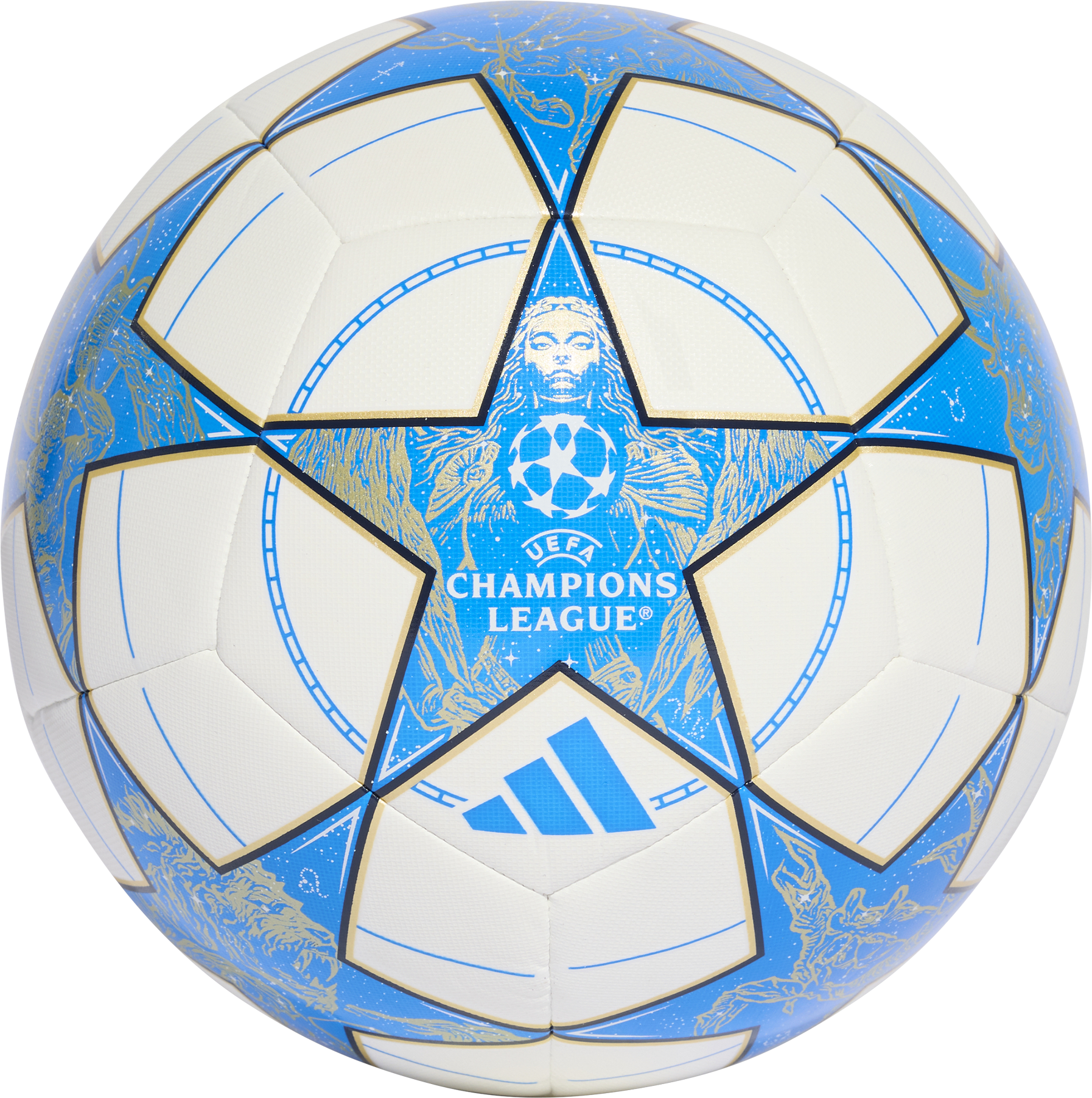 adidas UCL Training Ball 2025/26 Labda