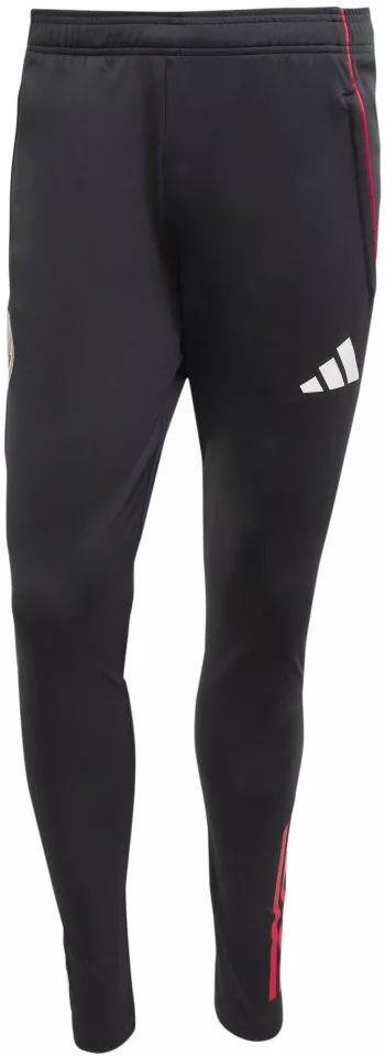 Calças adidas AJAX TR PNT