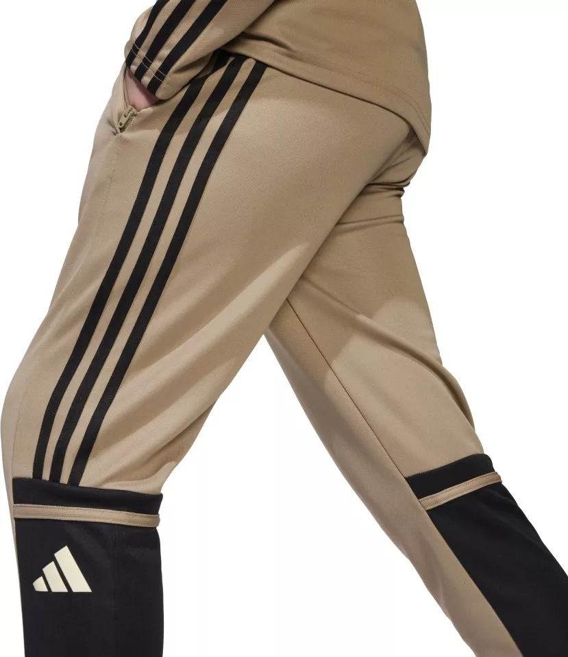 Pantalón adidas SQUADRA25 TR PNT Y