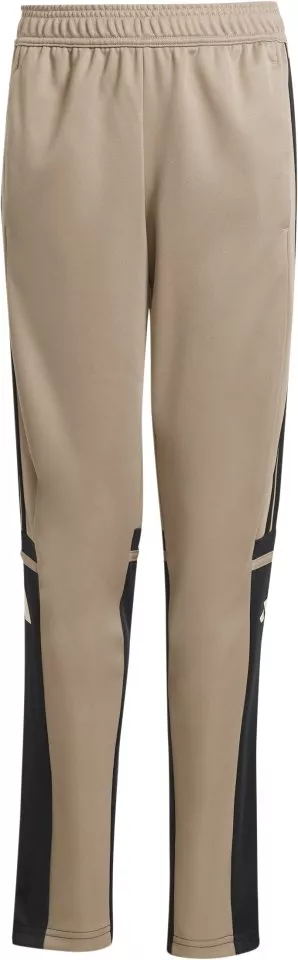 Pantalón adidas SQUADRA25 TR PNT Y