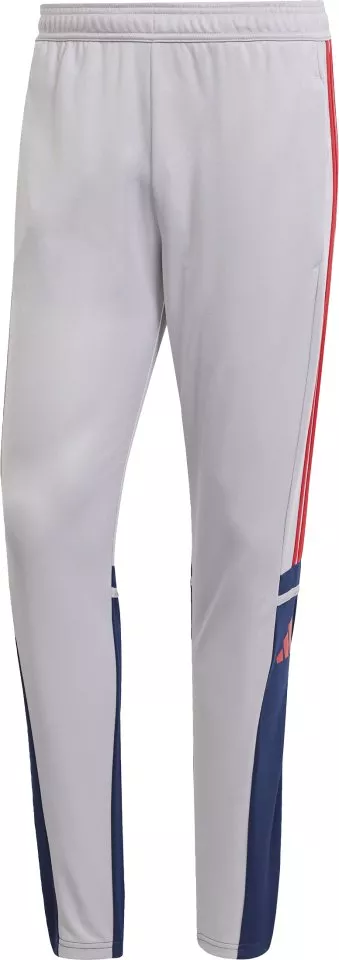 Pantaloni adidas SQUADRA25 TR PNT