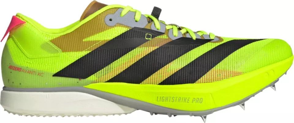 Spikes adidas ADIZERO AVANTI XC