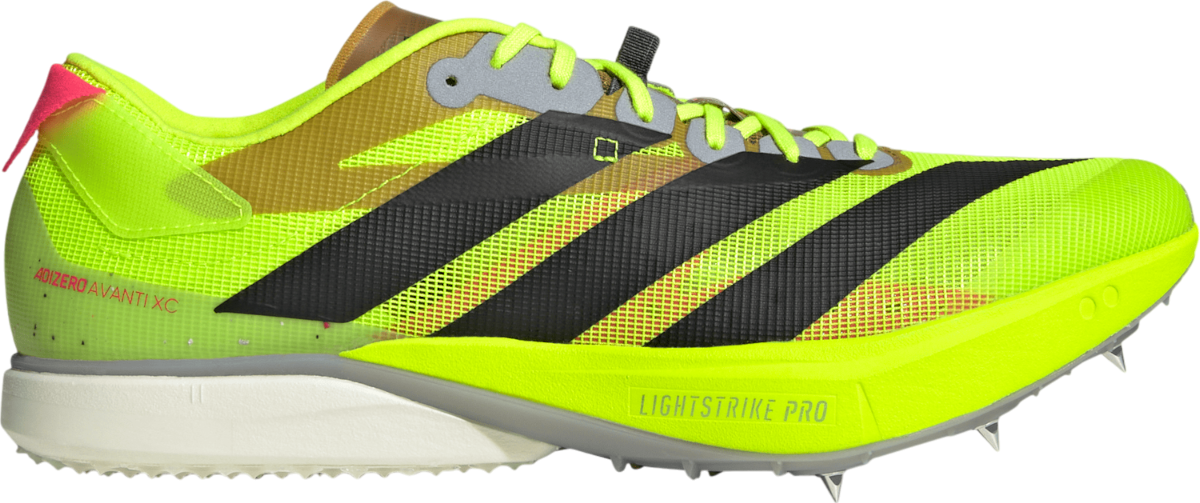Spikes adidas ADIZERO AVANTI XC