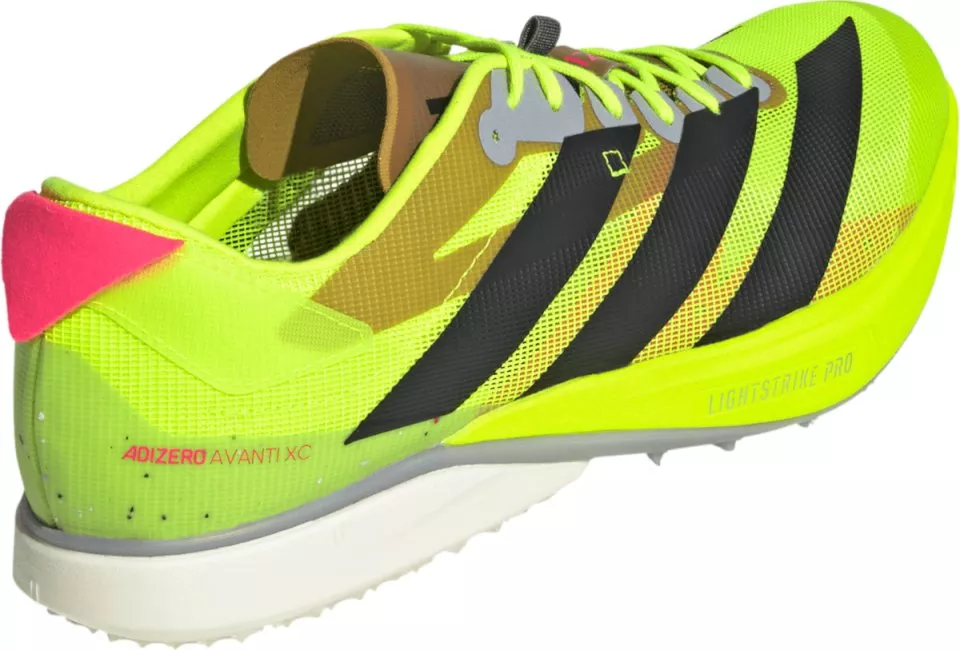 Spikes adidas ADIZERO AVANTI XC