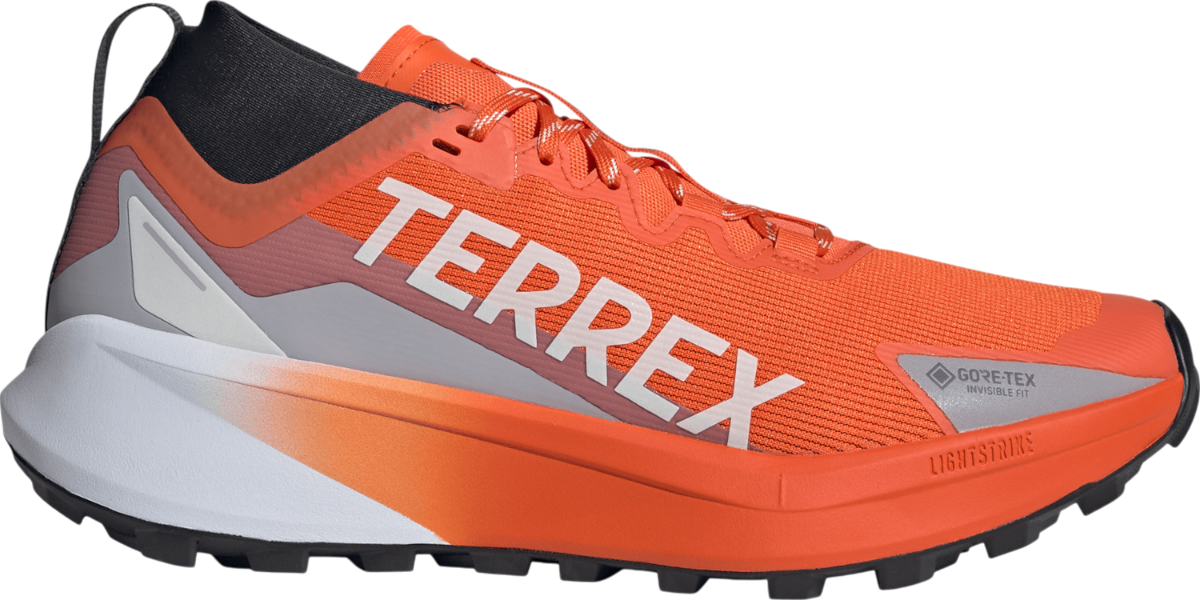 Trail-Schuhe adidas TERREX AGRAVIC GTX