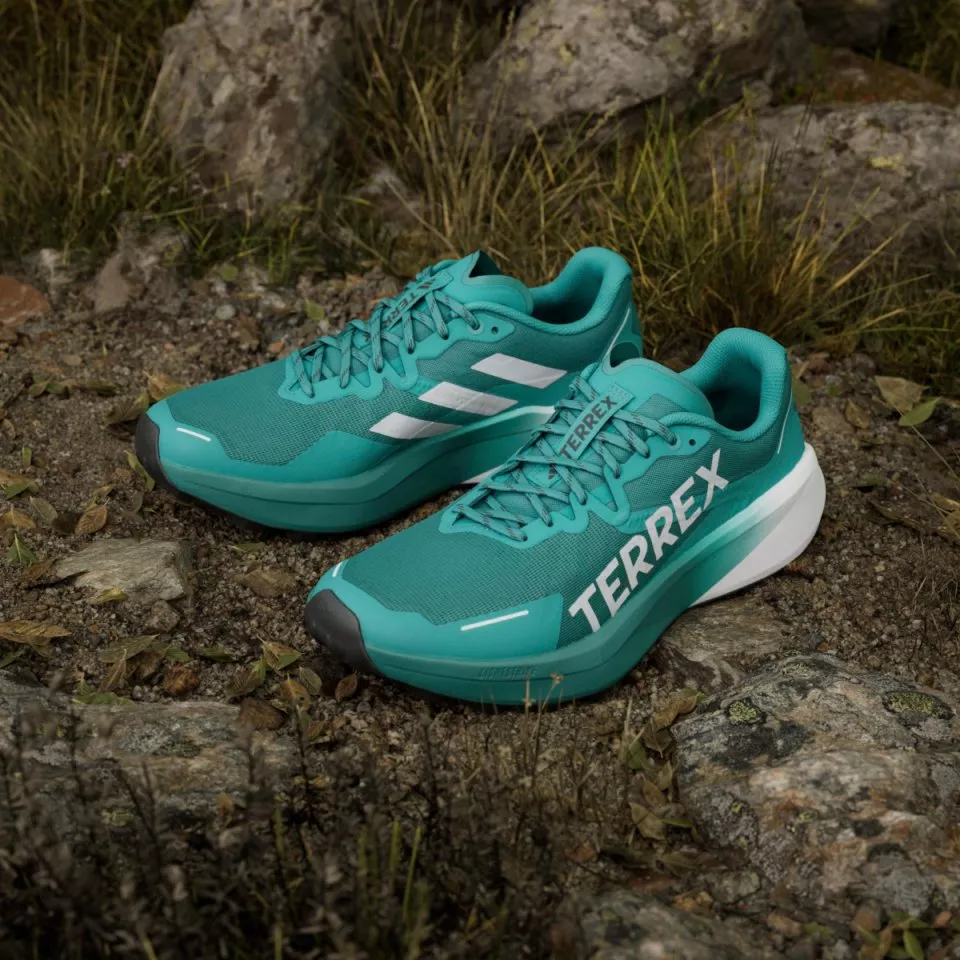 Παπούτσια Trail adidas TERREX AGRAVIC 3