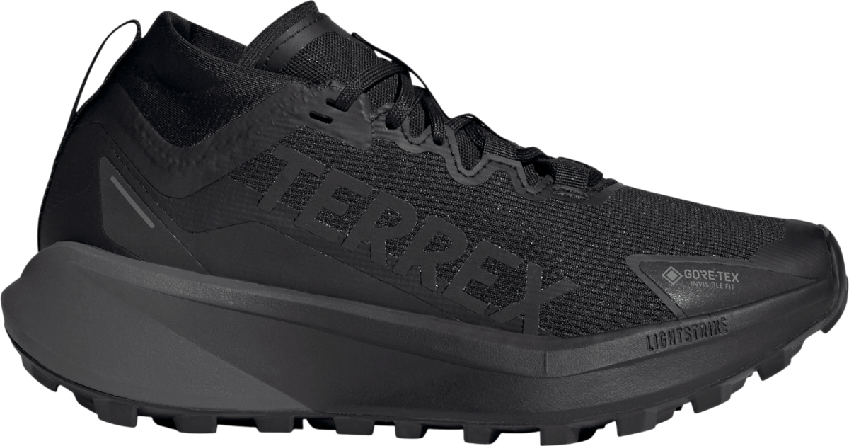 Παπούτσια Trail adidas Terrex Agravic GTX