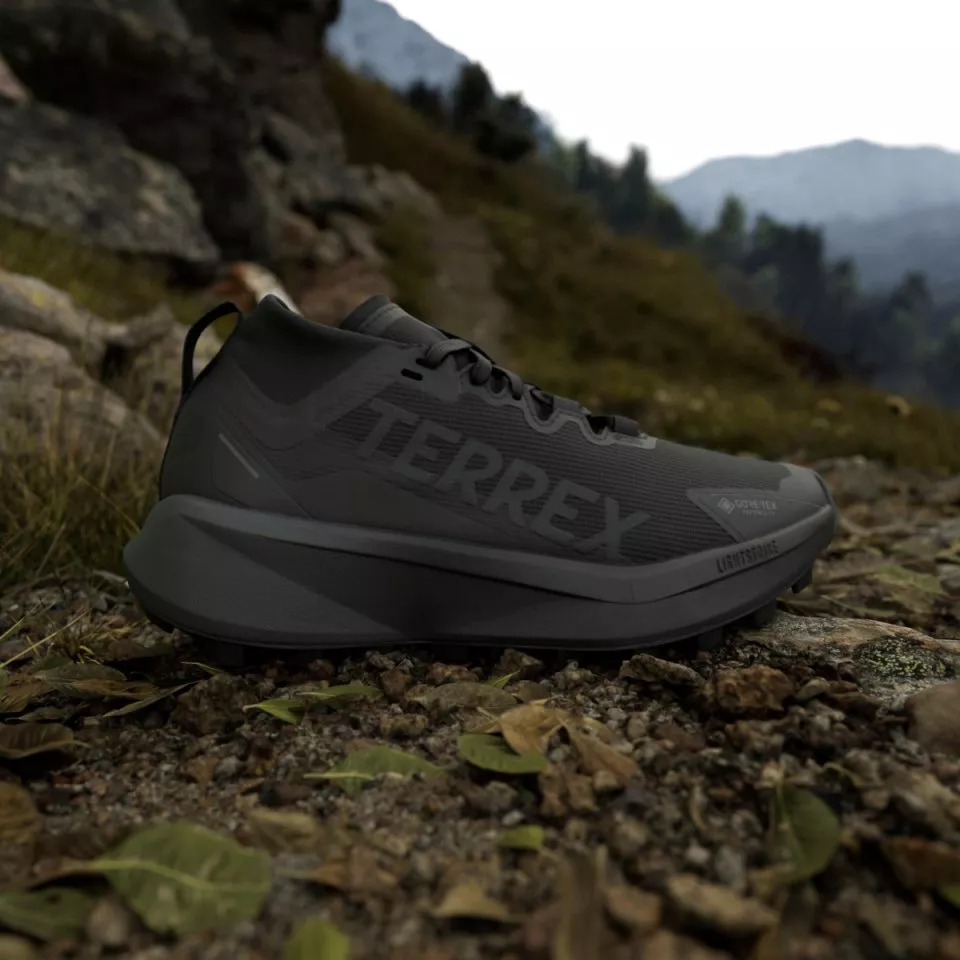 Παπούτσια Trail adidas Terrex Agravic GTX