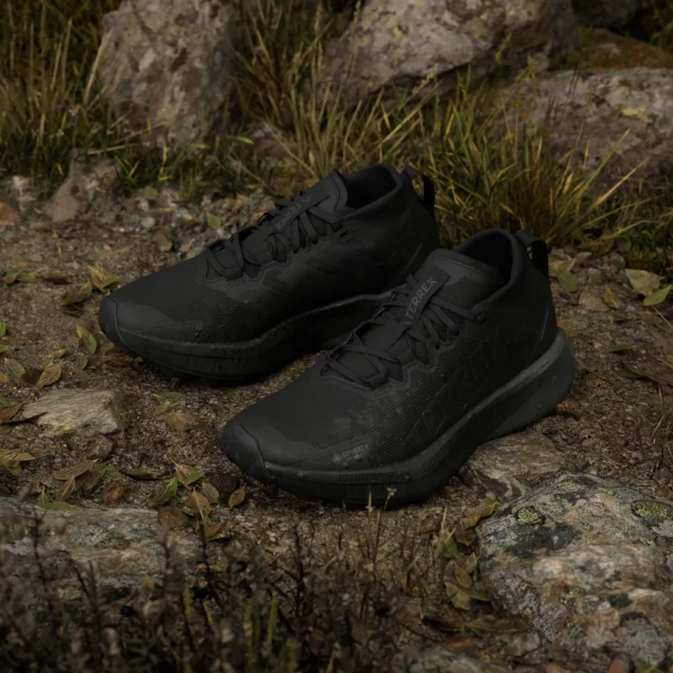 Παπούτσια Trail adidas Terrex Agravic GTX