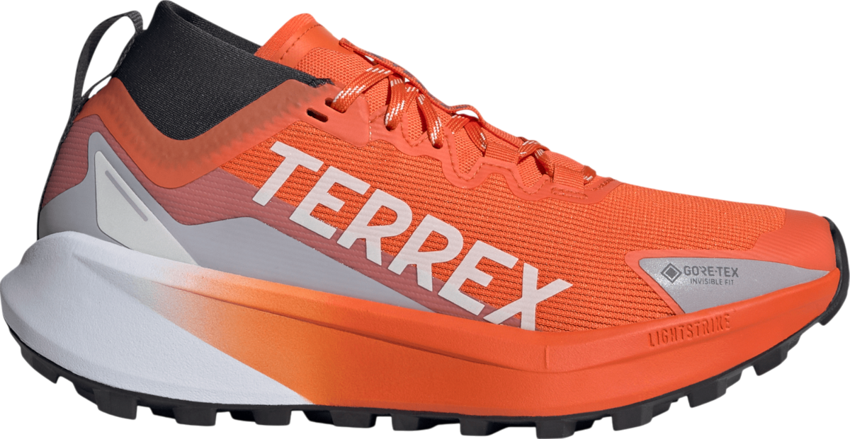 Trail copati adidas TERREX AGRAVIC GTX W