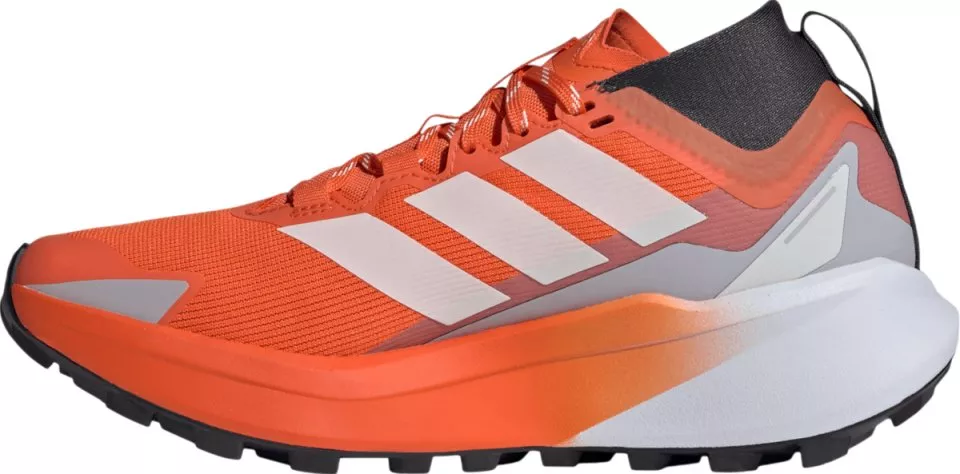 Trail copati adidas TERREX AGRAVIC GTX W