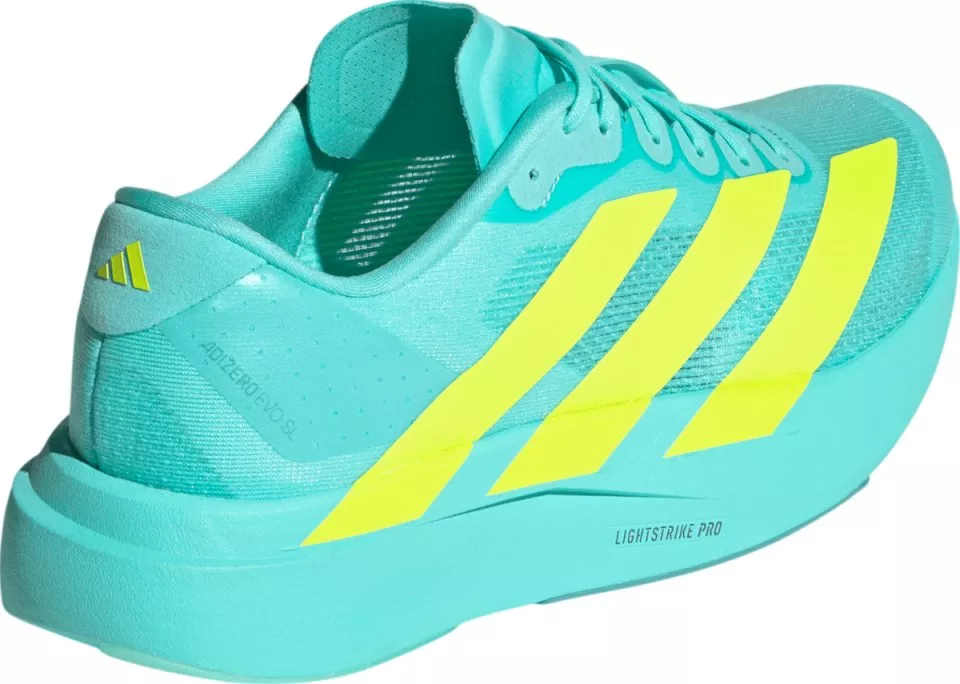 Laufschuhe adidas Adizero Evo SL