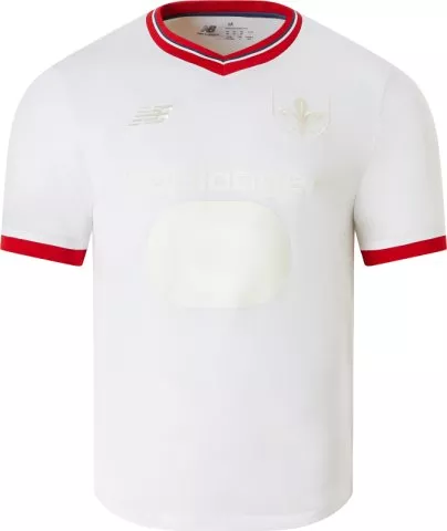 Lille LOSC Anniversaire Youth Short Sleeve Jersey 2024/25