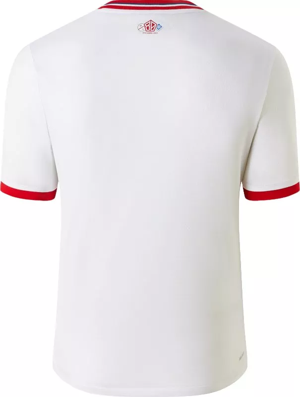 Dres New Balance Lille LOSC Anniversaire Youth Short Sleeve Jersey 2024/25