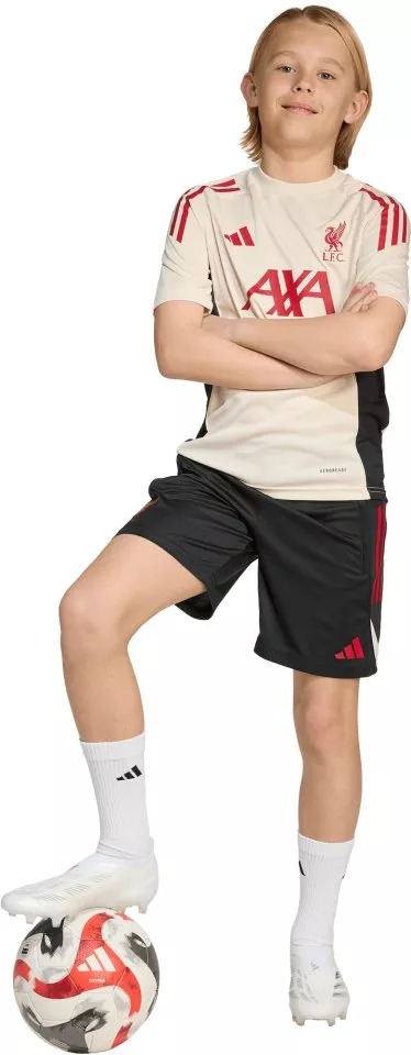 Kratke hlače adidas Liverpool FC Competition Training Shorts 2025/26 Kids