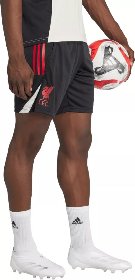 Shortsit adidas Liverpool FC Competition Training Shorts 2025/26