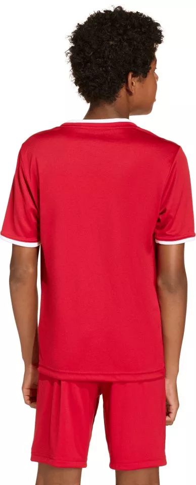 Dětský dres s krátkým rukávem adidas Entrada 26