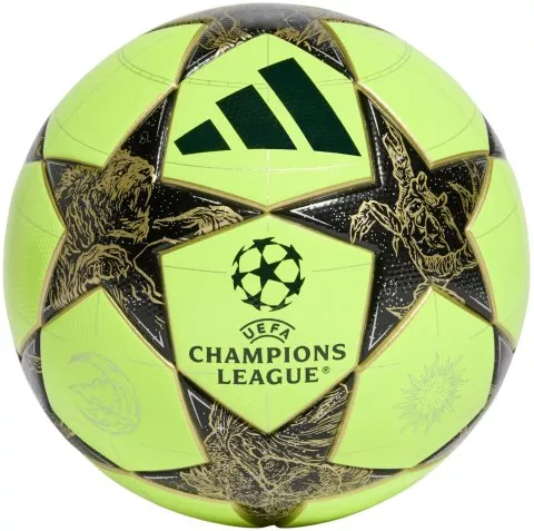 UEFA Champions League Winter Training Ball