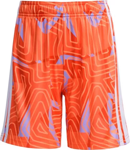 Tiro 26 Competition Goalkeeper Kids