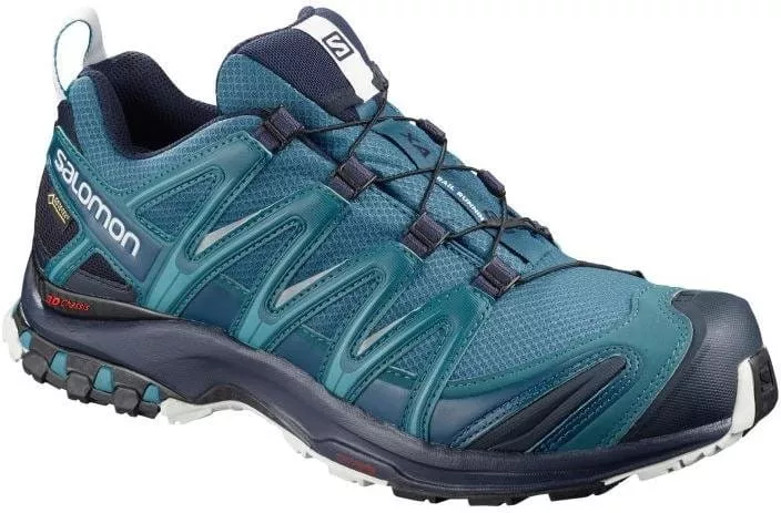 Trail tenisice Salomon XA PRO 3D GTX
