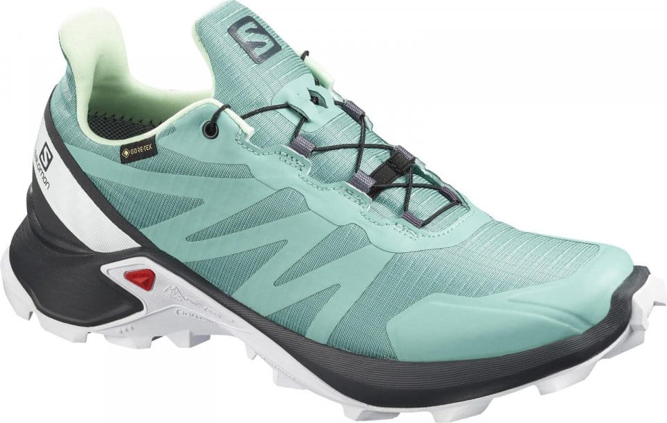 Trail shoes Salomon SUPERCROSS GTX W