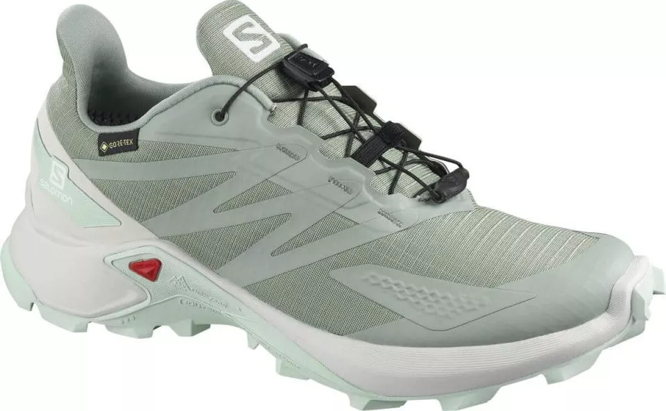 Trail-Schuhe Salomon SUPERCROSS BLAST GTX W