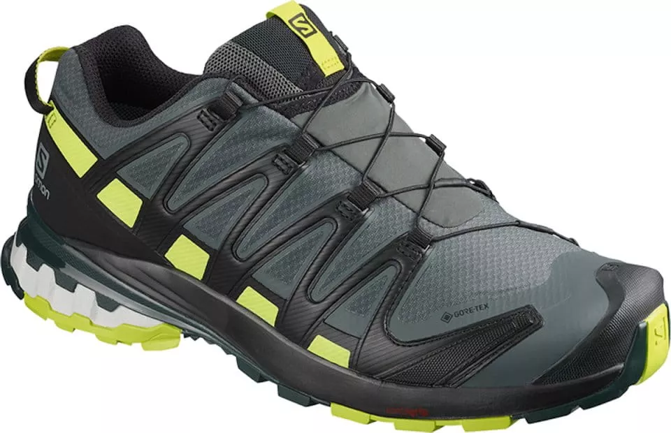 Trail-Schuhe Salomon XA PRO 3D v8 GTX