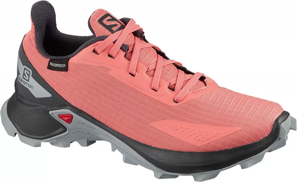 Trail shoes Salomon ALPHACROSS BLAST CSWP J
