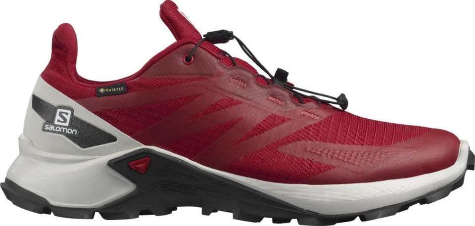 Zapatillas para trail Salomon SUPERCROSS BLAST GTX