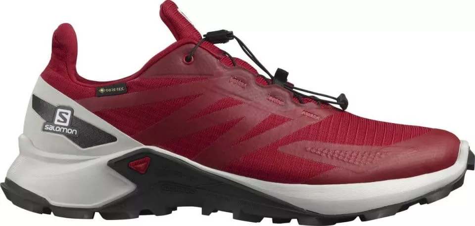 Zapatillas para trail Salomon SUPERCROSS BLAST GTX