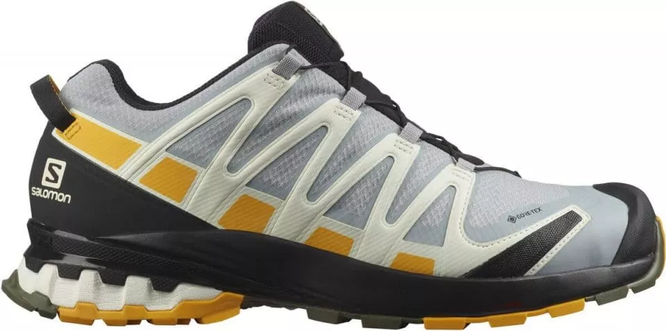 Trail tenisice Salomon XA PRO 3D v8 GTX